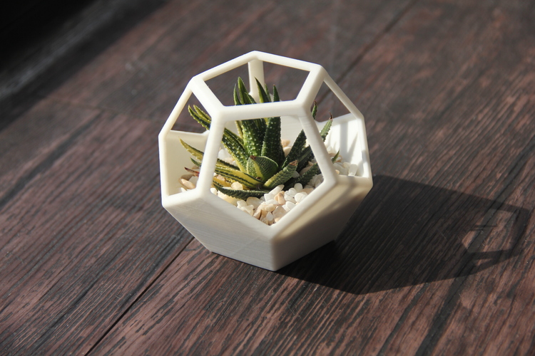 Dodecahedron Planter 3D Print 131053