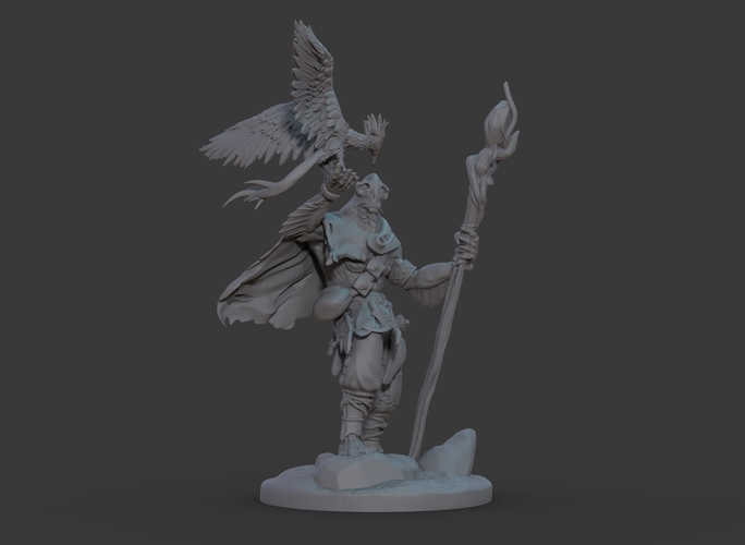 Ran'ril The Druid 3D Print 131783