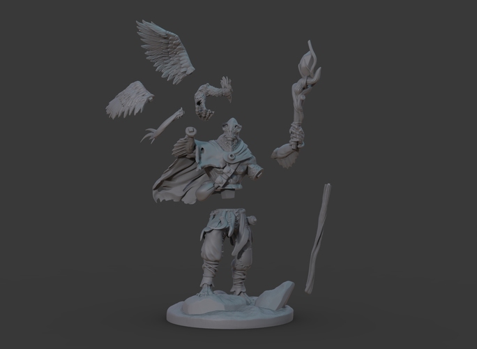 Ran'ril The Druid 3D Print 131784