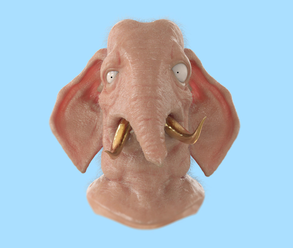 Elephant With Golden Teeth 3D Print 132066