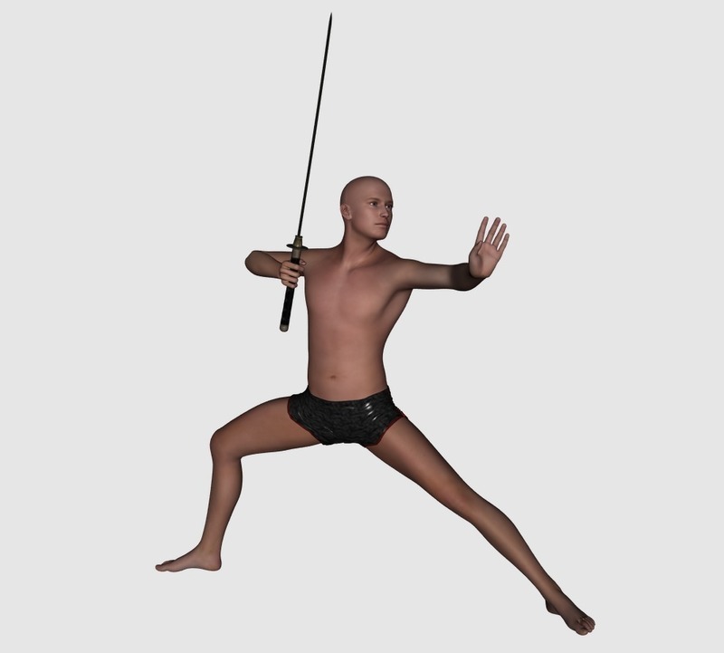 The fighter- Schwertkämpfer