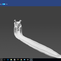 Cobra Dog Cody - Thumbnail 3