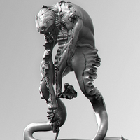 Squiders - Thumbnail 2