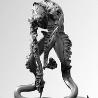 Squiders - Thumbnail 3