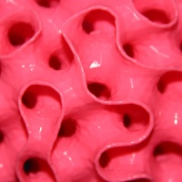 Coral Lamp - Thumbnail 4