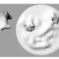 Guardian - Thumbnail 1