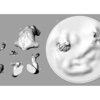 Guardian - Thumbnail 3