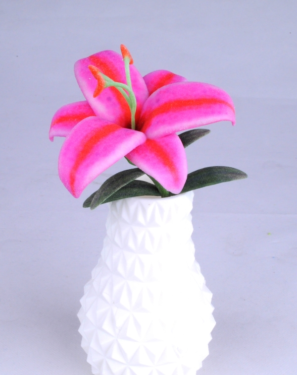 Lily