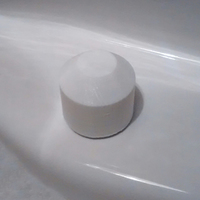 Small Toilet Bolt Cap 3D Printing 133592