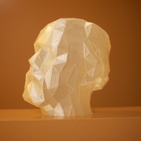 Digital Coupland - Thumbnail 4