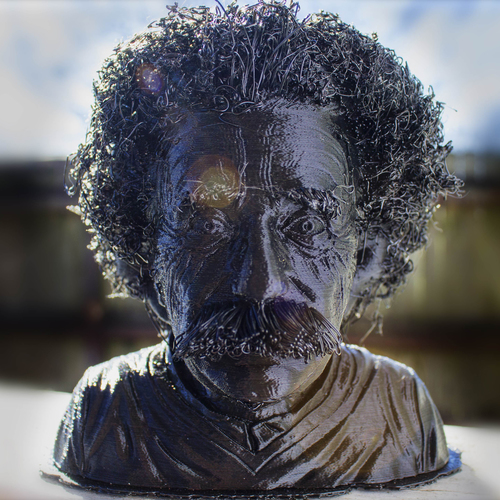 Hairy Einstein 3D Print 133680