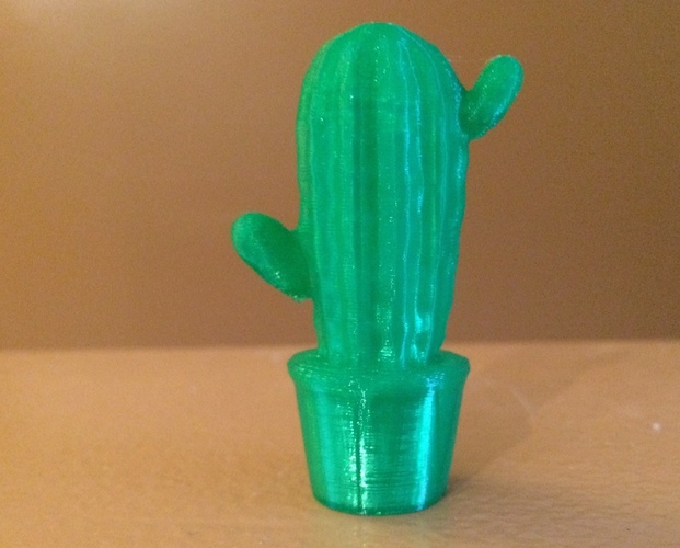 Another Scanned Cactus 3D Print 13371
