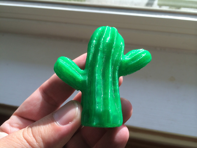 Scanned Cactus 3D Print 13379
