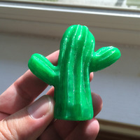 Small Scanned Cactus 3D Printing 13379