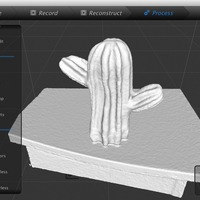 Scanned Cactus - Thumbnail 3