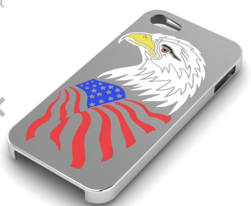 American Eagle iPhone 5s Case
