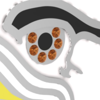 American Eagle iPhone 5s Case - Thumbnail 5