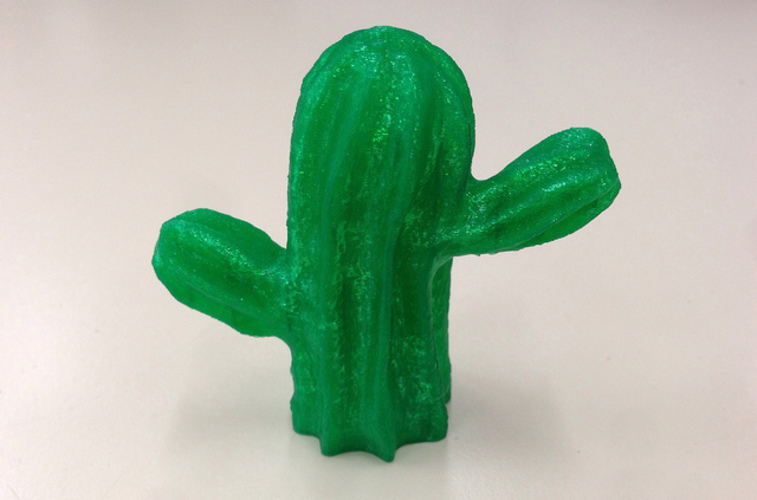 Mexican Cactus 3D Print 13402