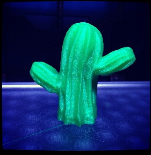 Mexican Cactus 3D Print 13403