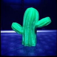Mexican Cactus - Thumbnail 2