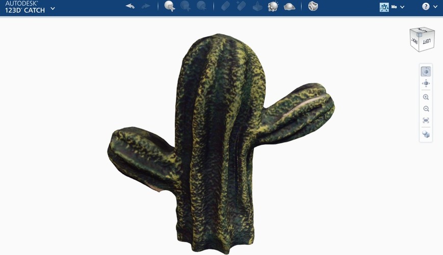 Mexican Cactus 3D Print 13406