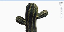 Image 13406