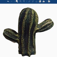 Mexican Cactus - Thumbnail 5