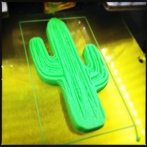 Cactus 3D Print 13432