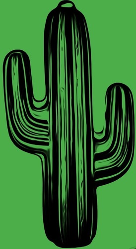 Cactus 3D Print 13433