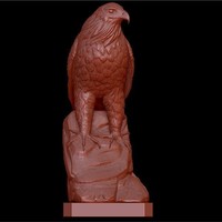 Eagle on rock - Thumbnail 2