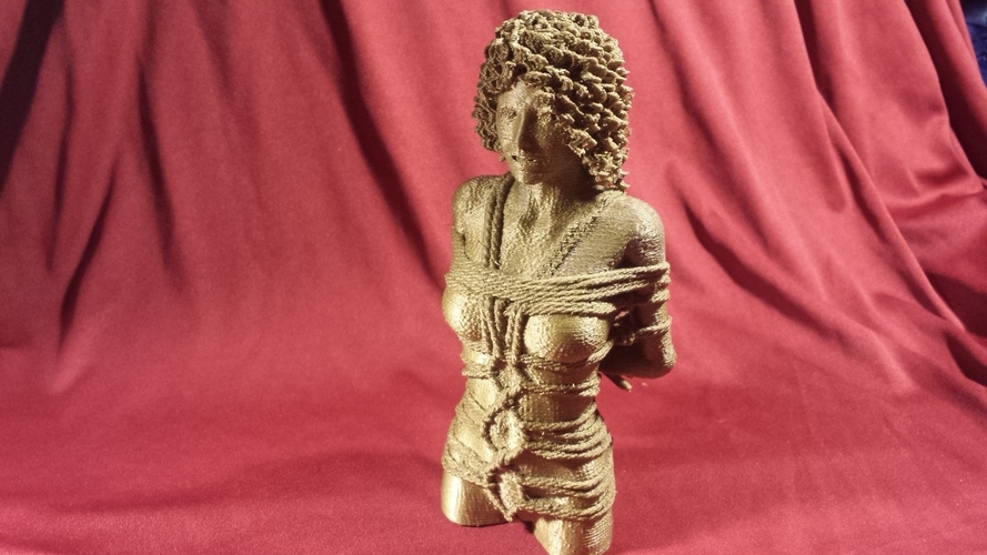 Brooke 3D Print 134505