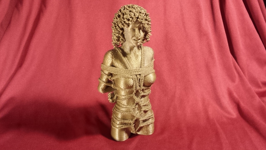 Brooke 3D Print 134506