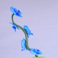 Butterfly orchid - Thumbnail 2