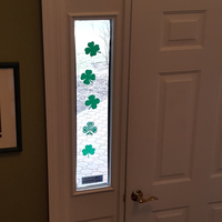 Shamrock or 4 Leaf Clover ? - Thumbnail 1