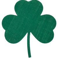Shamrock or 4 Leaf Clover ? - Thumbnail 3