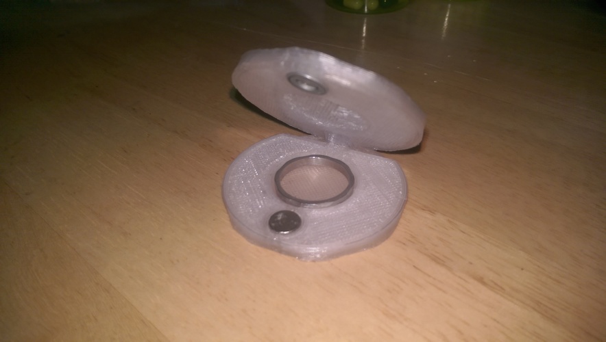 Kippling Iron Ring case 3D Print 134794