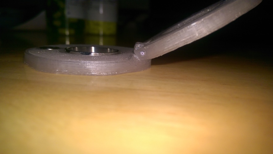 Kippling Iron Ring case 3D Print 134795