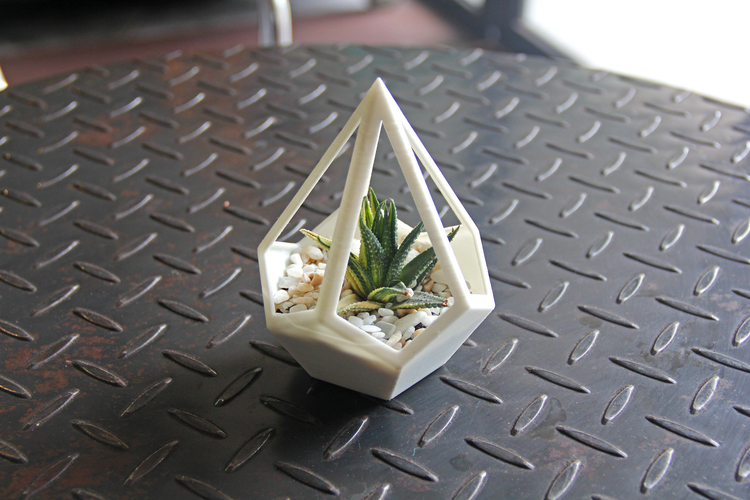 Pyramid Dodecahedron Planter 3D Print 134843