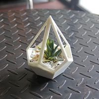 Pyramid Dodecahedron Planter - Thumbnail 2
