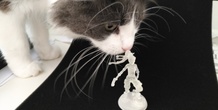 Image 134851