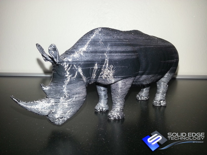 Rhino 3D Print 13535