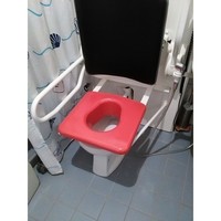 Small Toilet seat / Toiletbril 3D Printing 135390