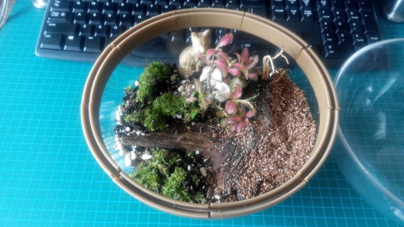 IKEA BLANDA 20cm Serving Bowl Terrarium