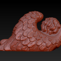 Angel sleeping in wings - Thumbnail 3