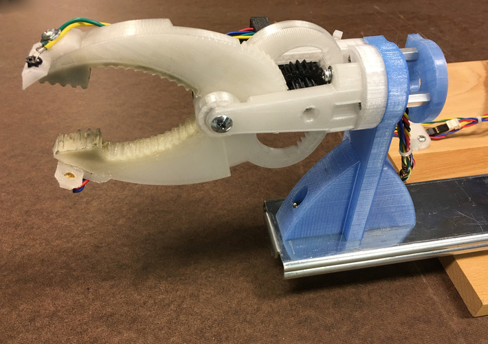 Gripper with Larger Flat Ends 3D Print 135898