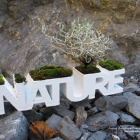 NATURE planter - Thumbnail 2
