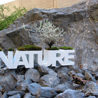 NATURE planter - Thumbnail 3