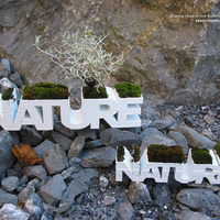 NATURE planter - Thumbnail 4