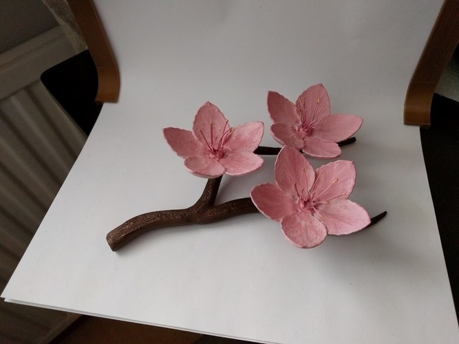 Cherry blossom branch 3D Print 136164