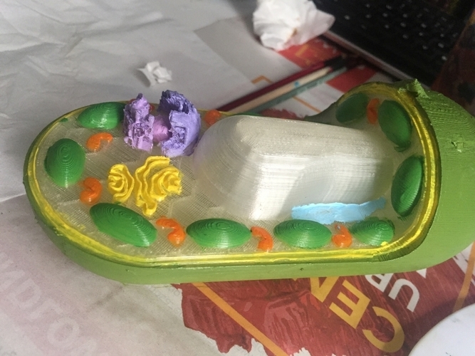 plant cell komórka roślinna 3D Print 136218